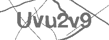 Güvenlik Kodu